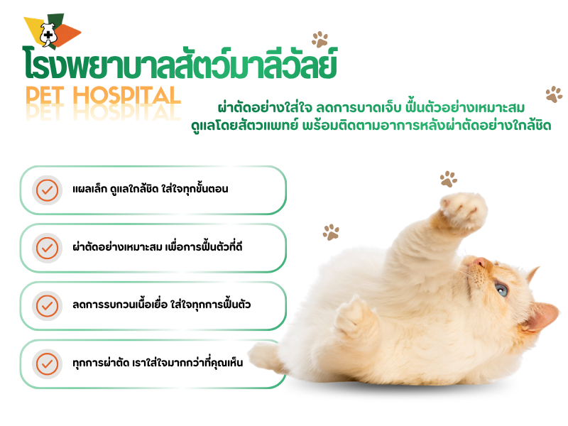โรงพยาบาลสัตว์มาลีวัลย์ (15)